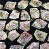 Abalone Off Cut Packs - No. 3