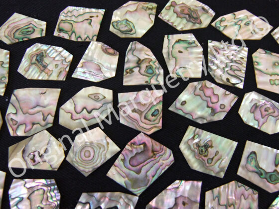 Abalone Off Cut Packs - No. 3