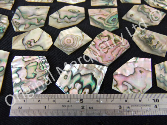 Abalone Off Cut Packs - No. 3 - Image 2