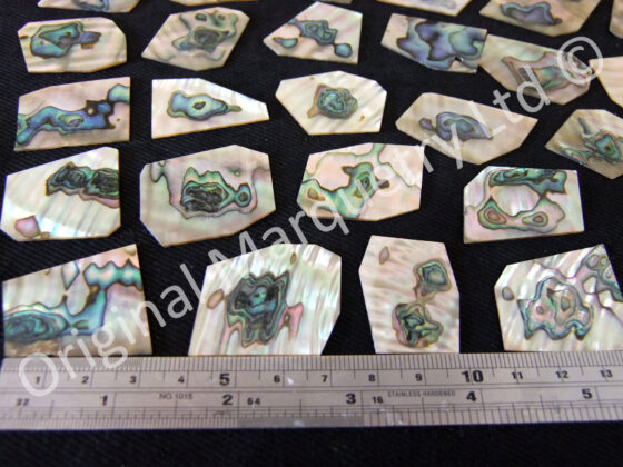 Abalone Off Cut Packs, Blue Centre - No. 4 - Image 2