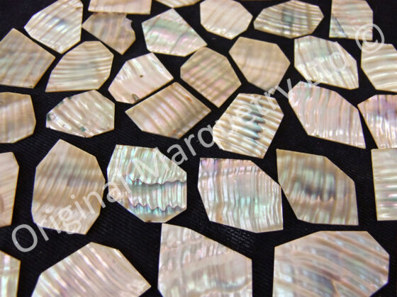 Abalone Off Cut Packs, Ripple Effect - No. 5