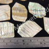 Abalone Off Cut Packs, Ripple Effect - No. 5 - Image 2