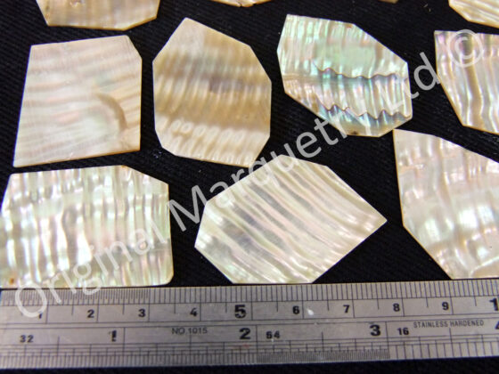 Abalone Off Cut Packs, Ripple Effect - No. 5 - Image 2