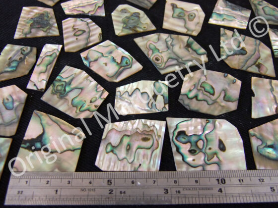 Abalone Off Cut Packs, More Colour - No. 6 - Image 2
