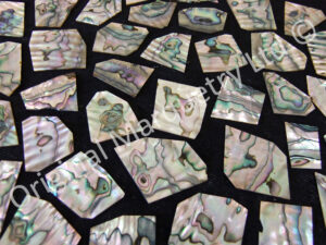 Abalone Off Cut Packs, More Colour - No. 6