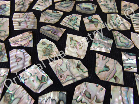 Abalone Off Cut Packs, More Colour - No. 6