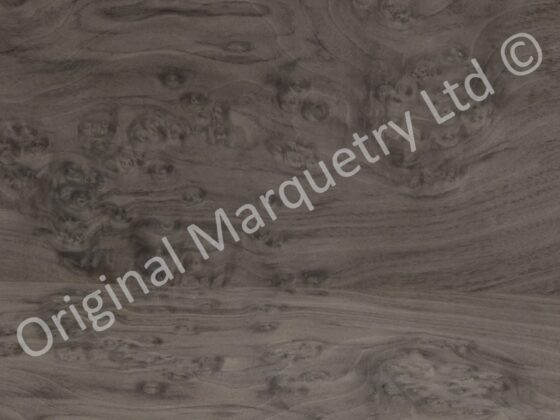 American Cluster Burr Walnut Wood Veneer - Image 2