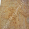 Burr Elm Wood Veneer