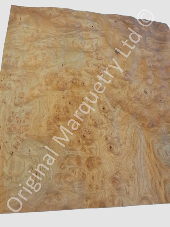 Burr Elm Wood Veneer