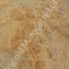 Burr Elm Wood Veneer - Image 2