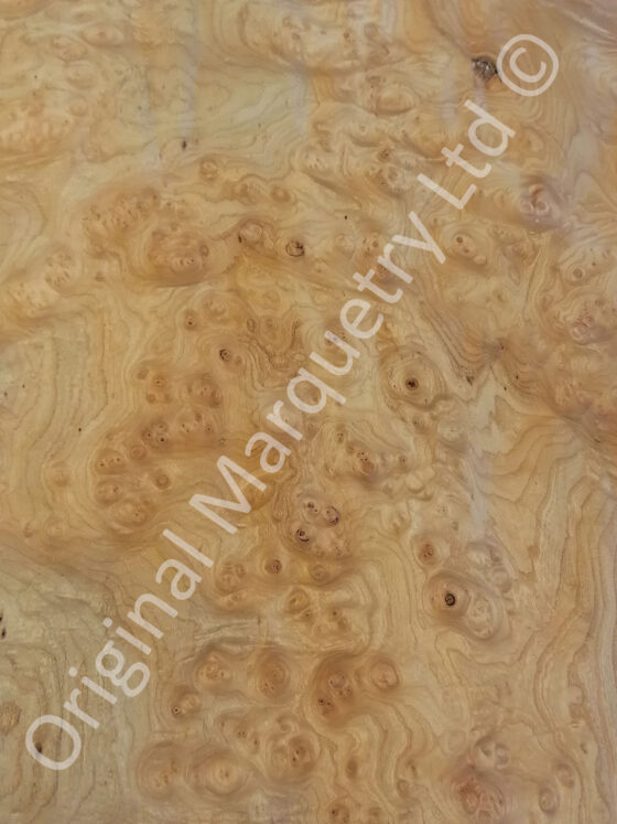 Burr Elm Wood Veneer - Image 2