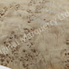 Burr Poplar Wood Veneer - Image 3
