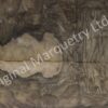 European Burr Walnut Wood Veneer - Image 2