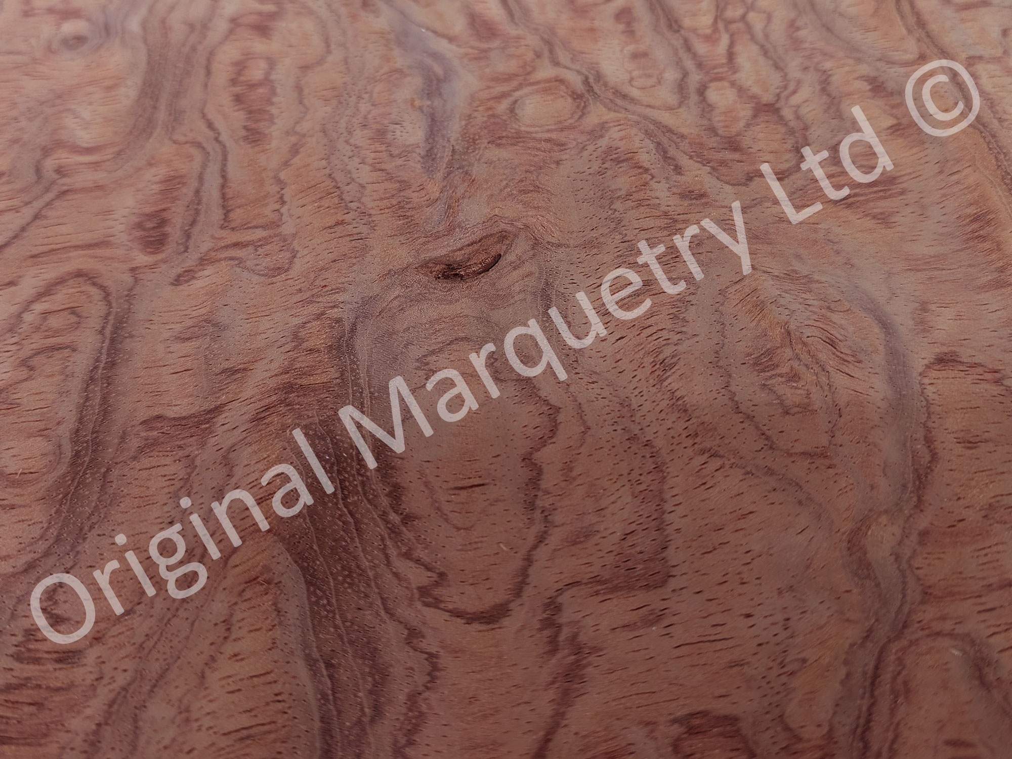 Kevasingo Wood Veneer - Image 5