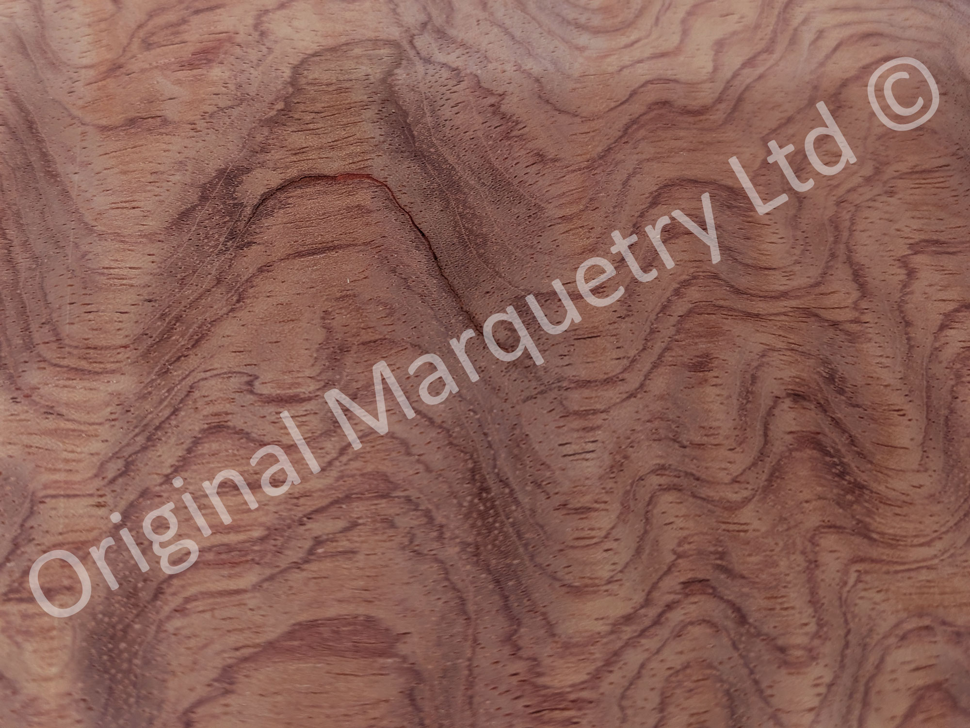 Kevasingo Wood Veneer - Image 6