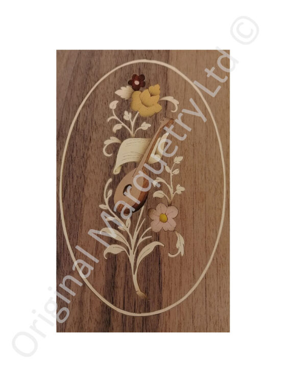 Marquetry Mandolin Panels - M9