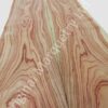 Tulipwood Wood Veneer