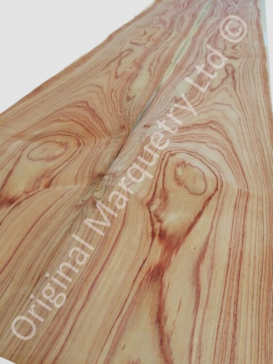Tulipwood Wood Veneer - Image 2