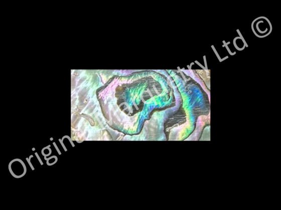Abalone Blanks, More Blue - 42 x 22 x 1.5mm