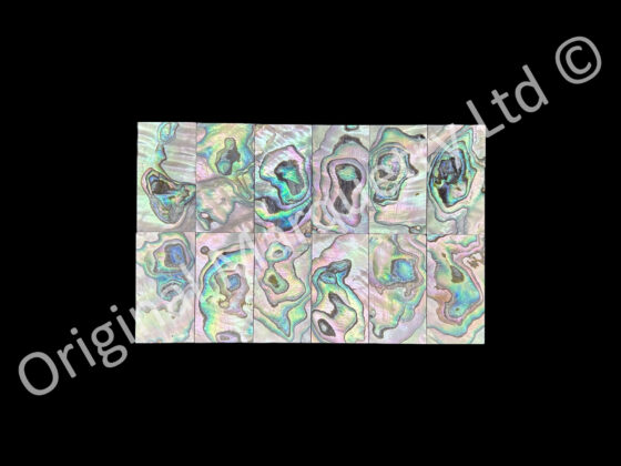 Abalone Blanks, More Blue - 42 x 22 x 1.5mm - Image 2