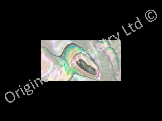 Abalone Blanks, More Pink/Green - 42 x 22 x 1.5mm