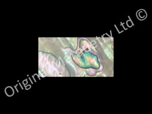 Abalone Blanks, More White - 42 x 22 x 1.5mm