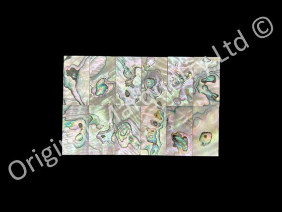 Abalone Blanks, More White - 42 x 22 x 1.5mm - Image 2