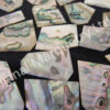 Abalone Off Cut Packs - No. 1 - Image 2