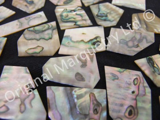Abalone Off Cut Packs - No. 1 - Image 2