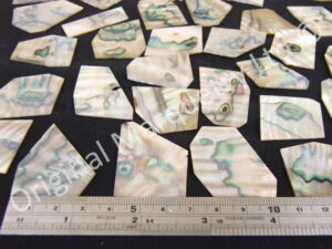 Abalone Off Cut Packs - No. 1