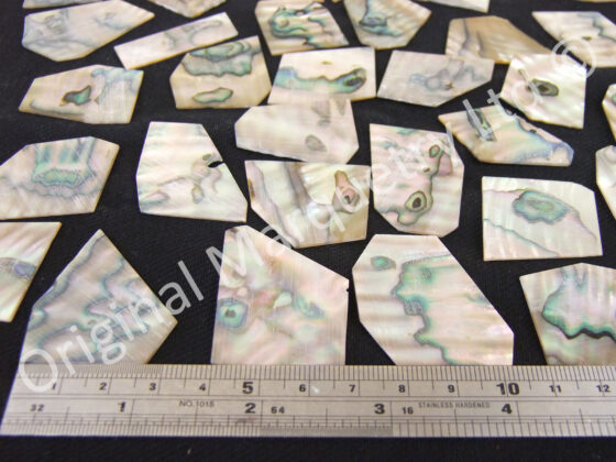 Abalone Off Cut Packs - No. 1