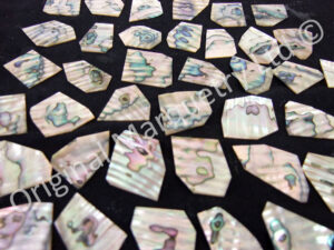 Abalone Off Cut Packs - No. 2