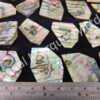 Abalone Off Cut Packs - No. 2 - Image 2