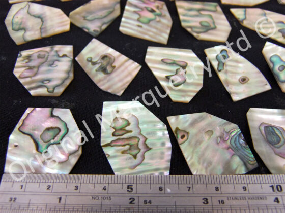 Abalone Off Cut Packs - No. 2 - Image 2