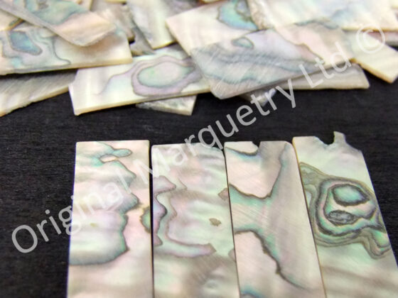 Abalone Select Off Cut Packs - No. 9