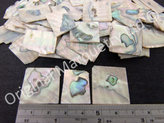 Abalone Squares Off Cut Packs - No. 10 - Image 2