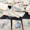 Abalone Squares Off Cut Packs - No. 10