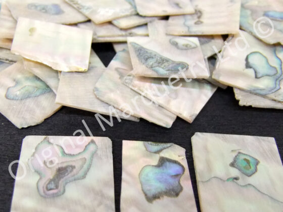 Abalone Squares Off Cut Packs - No. 10
