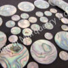 Abalone Select Dots - Image 2