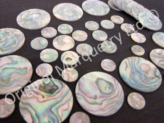 Abalone Select Dots - Image 2