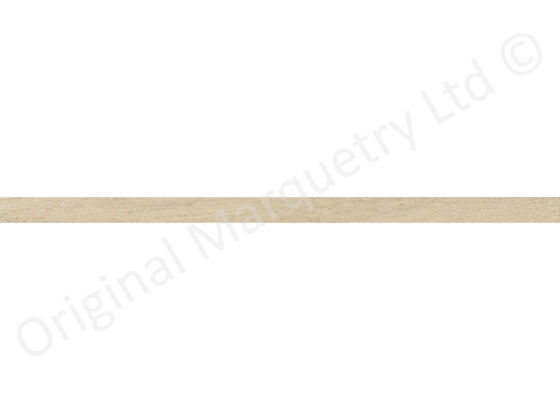 Maple Flat Lines 1.5mm x 0.7mm x 95cm
