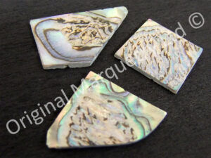 Paua Off Cut Packs - No. 1