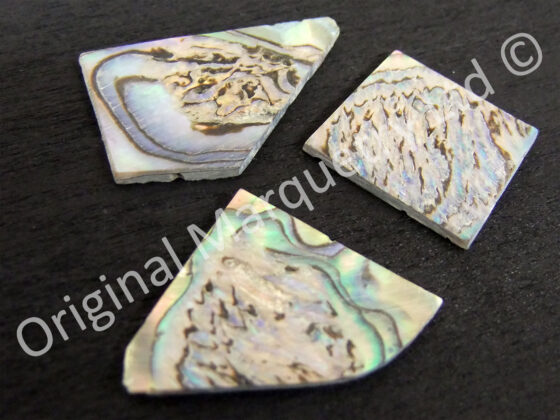 Paua Off Cut Packs - No. 1