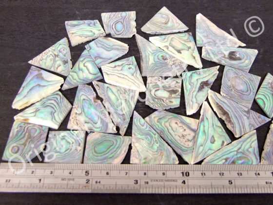 Paua Off Cut Packs - No. 2 - Image 2