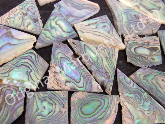 Paua Off Cut Packs - No. 2