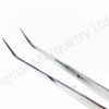 Stainless Steel Curved Tweezers - T148 - Image 2