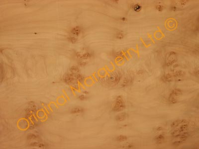 Burr Maple Wood Veneer Large Type No. 3 - 53 x 32"