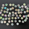 Abalone Paua Dots
