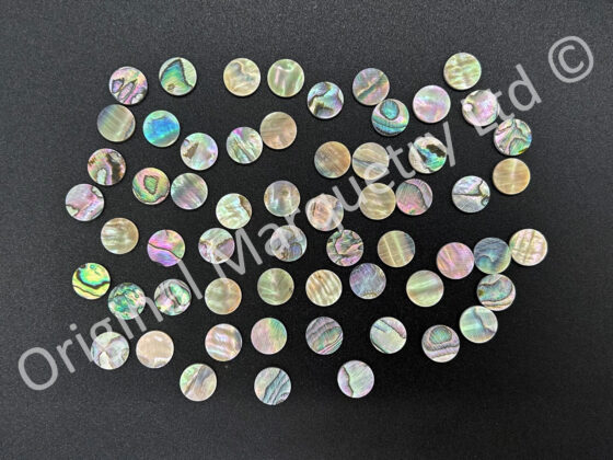 Abalone Paua Dots
