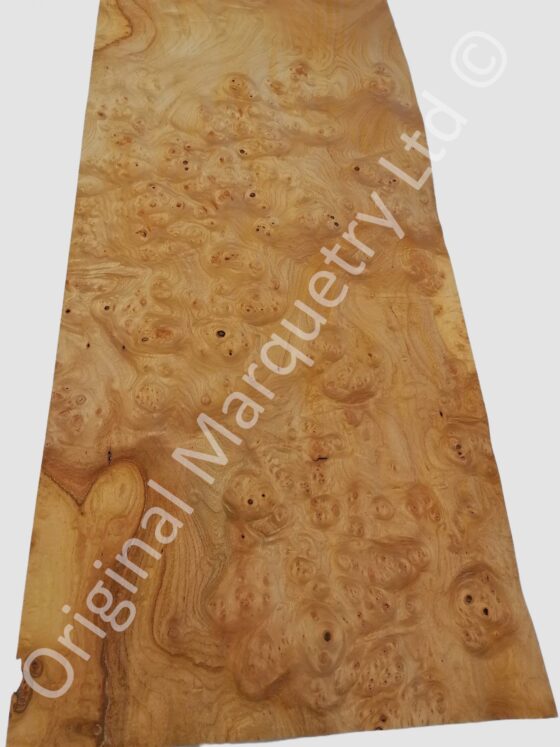 Burr Elm Wood Veneer